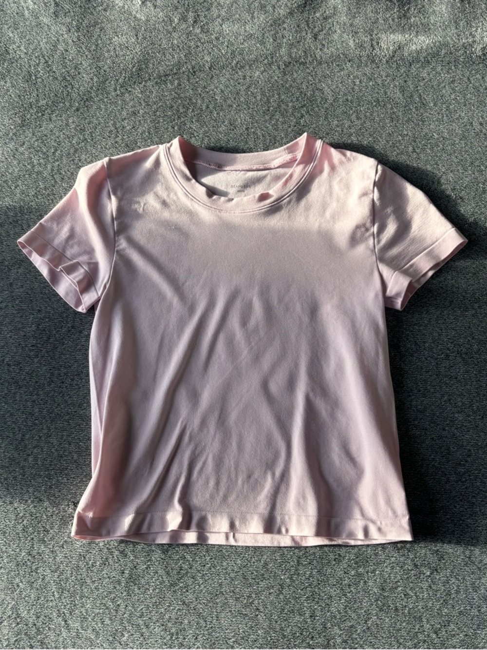 aritzia seamless fitted tshirt